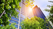 Fresh Green Trees And Office Building, Business Concept. Eco Building In Modern City Concept.  