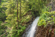 Strong Stream Of Waterfall In Forest In Summer Day