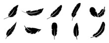 Feathers Set Icon Vector Illustration
