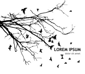 realistic illustration with silhouettes of three birds - crows or ravens sitting on tree branch with