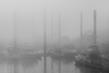 Douro River Marina In The Morning Mist