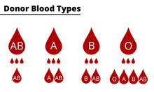 Donor Blood Types Compatibility Diagram. ABO Blood Group System. Vector Illustration.