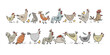 Funny farm birds family. Chicken and Rooster characters. Art collection for your design
