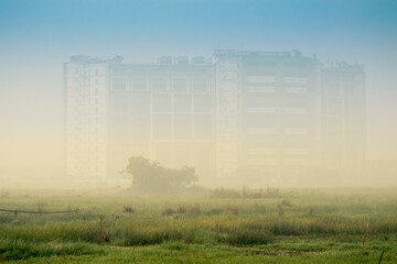 Winter morning in Kolkata, fog over a green field - misty landscape with moody subtle colours. Blurred view of highrises in the bakground.