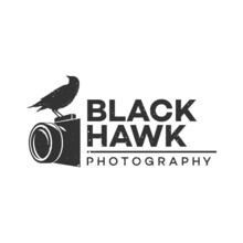 Illustration Eagle Bird With Camera Logo Design Template Photography