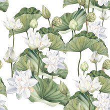 Hand Drawn Watercolor Seamless Pattern With White Lotus Flowers And Lotus Leaf