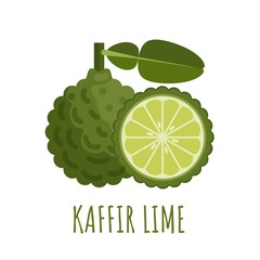 Wall Mural - Vector illustration of kaffir lime with leaves, isolated on white background, flat style design, suitable for packaging and advertising design elements.