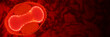 virus (Monkeypox virus), 3d render, close-up, dark red background banner with empty space 