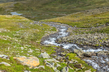 Poster - Mountain stream flowing down to the lake in the valley