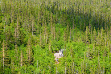 Poster - Forest landscape with a mountain cabin