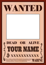 Wanted Poster, One Piece Anime