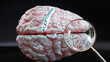 Kleptomania in human brain, a concept showing hundreds of crucial words related to Kleptomania projected onto a cortex to fully demonstrate broad extent of this condition,3d illustration