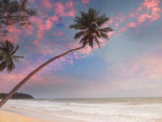 The banner of summer tropical concept with Beautiful of sand beach with palm trees as a  summer tropical view background