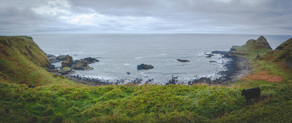 Canvas Print - Giant's Causeway