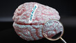 Idealism in human brain, a concept showing hundreds of crucial words related to Idealism projected onto a cortex to fully demonstrate broad extent of this condition,3d illustration