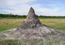 A Large Termite Mound In Zimbabwe