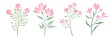Set Watercolor flowers. Hand painted floral illustration. pink flowers