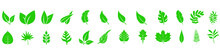 Green Leave Icon Vector Set. Botany Illustration Sign Collection. Ecology Symbol. Eco Sign.