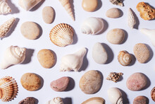 Natural Seashells And Sea Stones Pattern Background, Texture