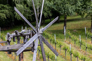 Wall Mural - clouds floating across the sky above vineyard near Heimschuh, Kitzeck  in southern Styria, Austria