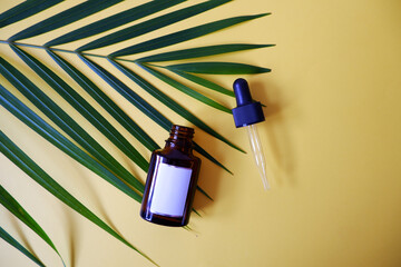 Bottle with dropper pipette with serum or essential oil. Yellow background with daylight and beautiful palm leaf.Skincare products , natural cosmetic. Beauty concept for face and body care.