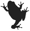 Vector-Frog Silhouette