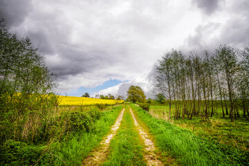 Wall Mural - Rural countryside road in cloudy weather