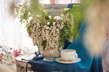 Wall Mural - Acacia flowers in white vase. Still life wit acacia flowers on vintage shair.