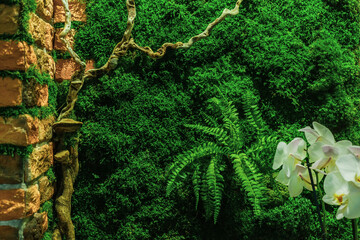 Brick wall in the office, decorated with stabilized moss, driftwood, ferns