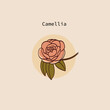 vector illustration of a camellia in a simple hand-drawn style