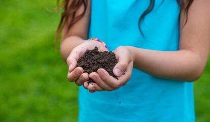 Wall Mural - The child holds the soil in his hands. Selective focus.