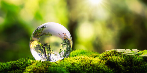 Wall Mural - globe glass on grass with sunshine. environment concept