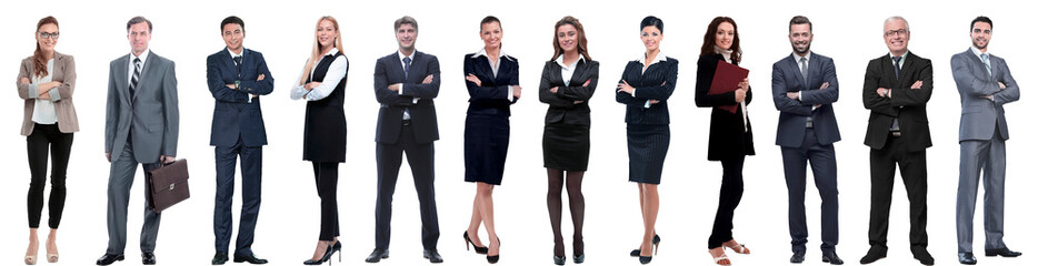 Wall Mural - group of successful business people standing in a row.