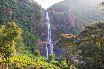 Canvas Print - Waterfall on Sri Lanka