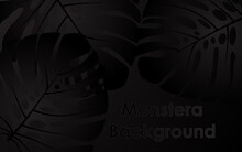 Exotic Tropical Background With Monstera Leaves In Black Colors. Design For Wallpaper, Background, Banner With Place For Text. Vector Illustration