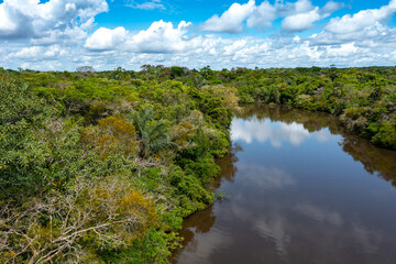 Sticker - Peru. Aerial view of Rio Momon. Top View of Amazon Rainforest, near Iquitos, Peru. South America. 