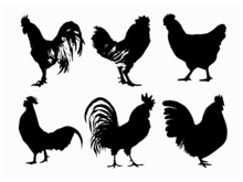 Chicken Scalable Vector Graphics Rooster Clip Art Silhouette Images, Stock Photos For Free EPS