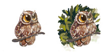 Two Owls On A Branch