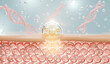 3D Collagen Skin Serum and Vitamin illustration, Cosmetic serum Oil drop on skin cell, moisturizer, collagen serum. 3D rendering