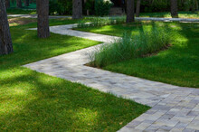 Stone Walkway In Landscape Design Surrounded