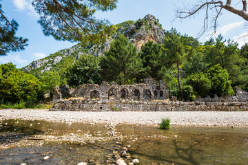 Wall Mural - Olympos ancient ruin site view in popular resort town of Olympos, near Antalya, Turkey.  Olympos archaeological site with natural landscape.