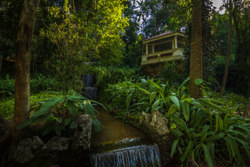 Wall Mural - View of some waterfalls at Rio de Janeiro Botanical Garden