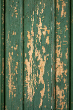 Old Wooden Cracked Green Painted Door