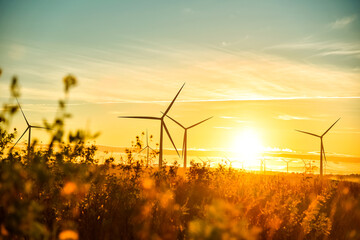 wind turbines power plant at sunset are alternative electricity, the concept of sustainable resource