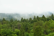 雨の日の奈良県の山添村の風景