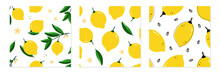 Set, Collection Of Three Vector Seamless Pattern Backgrounds With Fresh Yellow Lemons For Food And Nature Design.
