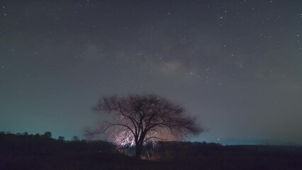 Wall Mural - video 4k timelapse milky way galaxy moving over tree ridge. night lapse from night to day. starry ni