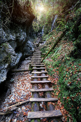 Wooden staircase in a deep wild mountain gorge. Take it in The National Park of Slovensky raj, Slovakia