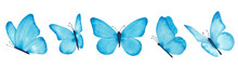 Set Of Watercolor Blue Butterflies, Isolated On A White Background.