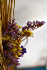 Wall Mural - Yellow and blue dried flowers and straw. Herbarium.